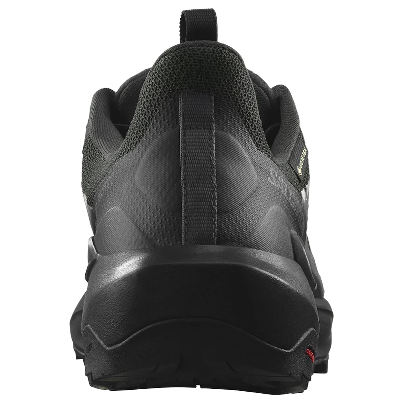 Scarpe outdoor da uomo Salomon Elixir Activ Gore-Tex Phantom/Black/Magnet