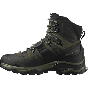 Scarpe outdoor da uomo Salomon Quest 4 Gore-Tex Olive Night/Peat/Safari  UK 9