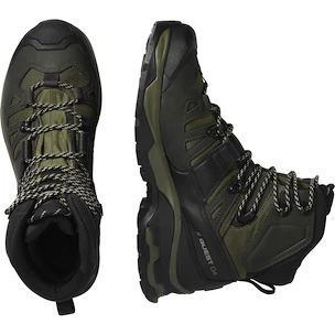 Scarpe outdoor da uomo Salomon Quest 4 Gore-Tex Olive Night/Peat/Safari  UK 9
