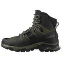 Scarpe outdoor da uomo Salomon Quest 4 Gore-Tex Olive Night/Peat/Safari