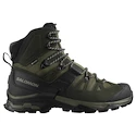 Scarpe outdoor da uomo Salomon Quest 4 Gore-Tex Olive Night/Peat/Safari