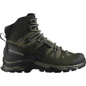 Scarpe outdoor da uomo Salomon Quest 4 Gore-Tex Olive Night/Peat/Safari  UK 9