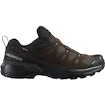 Scarpe outdoor da uomo Salomon X Ultra 360 Leather Gore-Tex Dark Earth/Delicioso/Sharkskin  UK 10