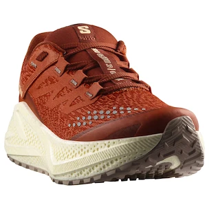 Scarpe running donna Salomon Aero Glide 3 GRVL Burnt Ochre/Vanilla Ice/Etherea