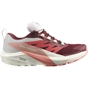 Scarpe running donna Salomon  GTX W Syrah/Vanila/Pea  UK 5