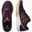 Scarpe running donna Salomon  Sonic 5 Balance Grape Wine/Black