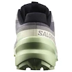 Scarpe running donna Salomon Speedcross 6 Castlerock/Vanilla Ice/Smoke Green