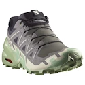 Scarpe running donna Salomon Speedcross 6 Castlerock/Vanilla Ice/Smoke Green