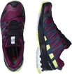 Scarpe running donna Salomon XA Pro 3D V8 GTX W Plum Caspia
