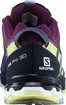 Scarpe running donna Salomon XA Pro 3D V8 GTX W Plum Caspia