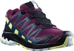 Scarpe running donna Salomon XA Pro 3D V8 GTX W Plum Caspia