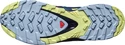 Scarpe running donna Salomon XA Pro 3D V8 GTX W Plum Caspia