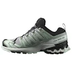 Scarpe running donna Salomon Xa Pro 3D V9 Gore-Tex Quiet Shade/Lily Pad/Blue Haze