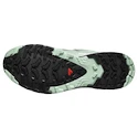 Scarpe running donna Salomon Xa Pro 3D V9 Gore-Tex Quiet Shade/Lily Pad/Blue Haze