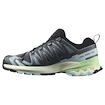 Scarpe running donna Salomon Xa Pro 3D V9 Turbulence/Iced Aqua/Patina Green