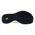 Scarpe running uomo Inov-8 Trailfly Max  Blue Grey/Coral/Light Grey