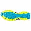 Scarpe running uomo La Sportiva Bushido II Opal/Apple Green