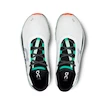 Scarpe running uomo On Cloudmonster Undyed-White/Creek