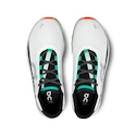 Scarpe running uomo On Cloudmonster Undyed-White/Creek