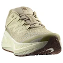 Scarpe running uomo Salomon Aero Glide 3 GRVL Green Haze/Vanilla Ice/Russet