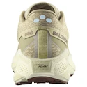 Scarpe running uomo Salomon Aero Glide 3 GRVL Green Haze/Vanilla Ice/Russet