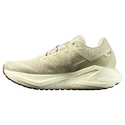 Scarpe running uomo Salomon Aero Glide 3 GRVL Green Haze/Vanilla Ice/Russet