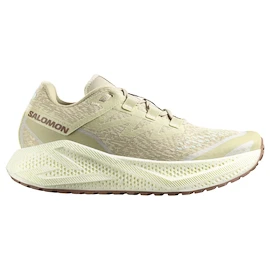 Scarpe running uomo Salomon Aero Glide 3 GRVL Green Haze/Vanilla Ice/Russet