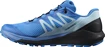 Scarpe running uomo Salomon Sense Ride Blue Aster