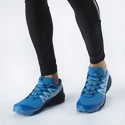 Scarpe running uomo Salomon Sense Ride Blue Aster
