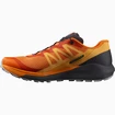 Scarpe running uomo Salomon Sense Ride Sense Ride 4 Vibrant Orange / Ebony