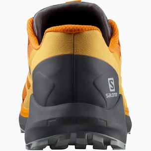 Scarpe running uomo Salomon Sense Ride Sense Ride 4 Vibrant Orange / Ebony