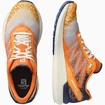 Scarpe running uomo Salomon  Sonic Sense 5