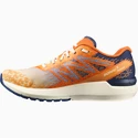 Scarpe running uomo Salomon  Sonic Sense 5
