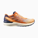 Scarpe running uomo Salomon  Sonic Sense 5