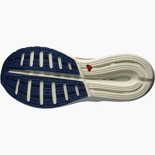 Scarpe running uomo Salomon  Sonic Sense 5