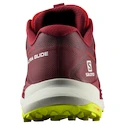 Scarpe running uomo Salomon Ultra Glide Biking Red/Lunar Rock