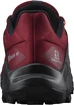 Scarpe running uomo Salomon  Wildcross 2 Biking Red