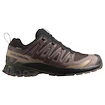 Scarpe running uomo Salomon Xa Pro 3D V9 Gore-Tex Black Coffee/Rum Raisin/Olive Night