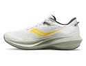 Scarpe running uomo Saucony Triumph 21 Fog/Bough