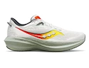 Scarpe running uomo Saucony Triumph 21 Fog/Bough