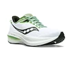 Scarpe running uomo Saucony  Triumph 21 White/Umbra