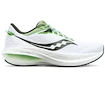 Scarpe running uomo Saucony  Triumph 21 White/Umbra