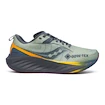 Scarpe running uomo Saucony  Triumph 22 Gtx Sage/Carbon  UK 10,5