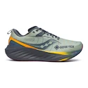 Scarpe running uomo Saucony  Triumph 22 Gtx Sage/Carbon  UK 10,5