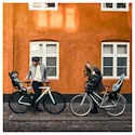 Seggiolino per bambini per biciclette Thule Yepp 2 Mini- Front Mount- Alaska