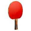 Set da ping pong Joola  Family Advanced