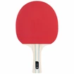 Set da ping pong Stiga  Sassy