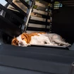 Tappetino per la gabbia per il trasporto Thule Dog mat standard