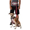 Tasca cintura da corsa Nathan  K9 Series Runner's Waistpack With Leash