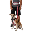 Tasca cintura da corsa Nathan  K9 Series Runner's Waistpack With Leash